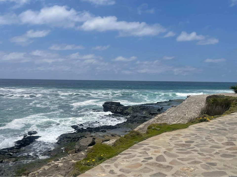 Las Gaviotas Home For Sale Picture 17