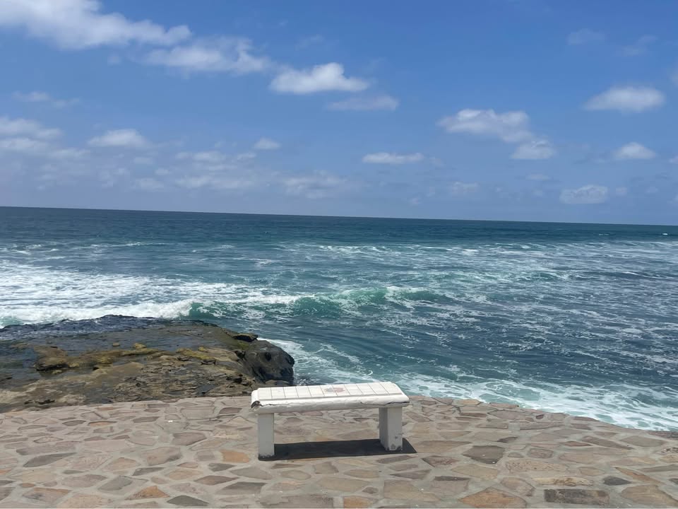 Las Gaviotas Home For Sale Picture 19